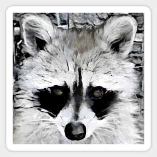 Raccoon Black and White Spray Paint Wall Sticker